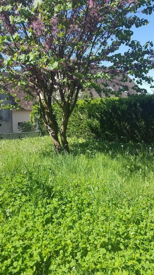 Maison De Campagne A 1H20 De Paris Villa Saint-Hilaire-les-Andresis Bagian luar foto